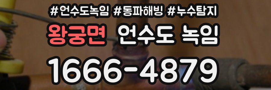 왕궁면 언수도 녹임