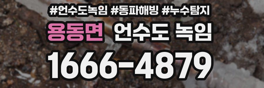 용동면 언수도 녹임