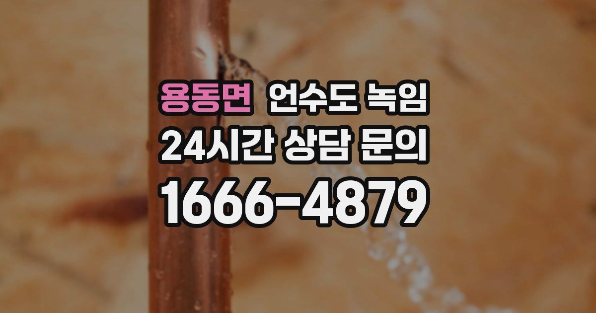 용동면 언수도 녹임