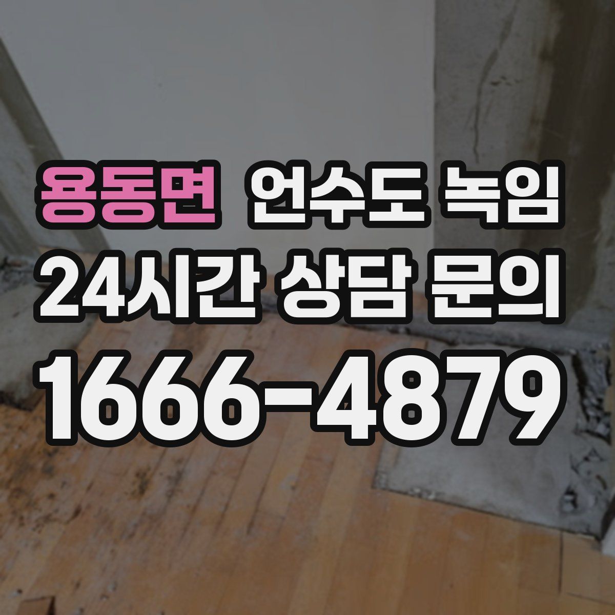 용동면 언수도 녹임