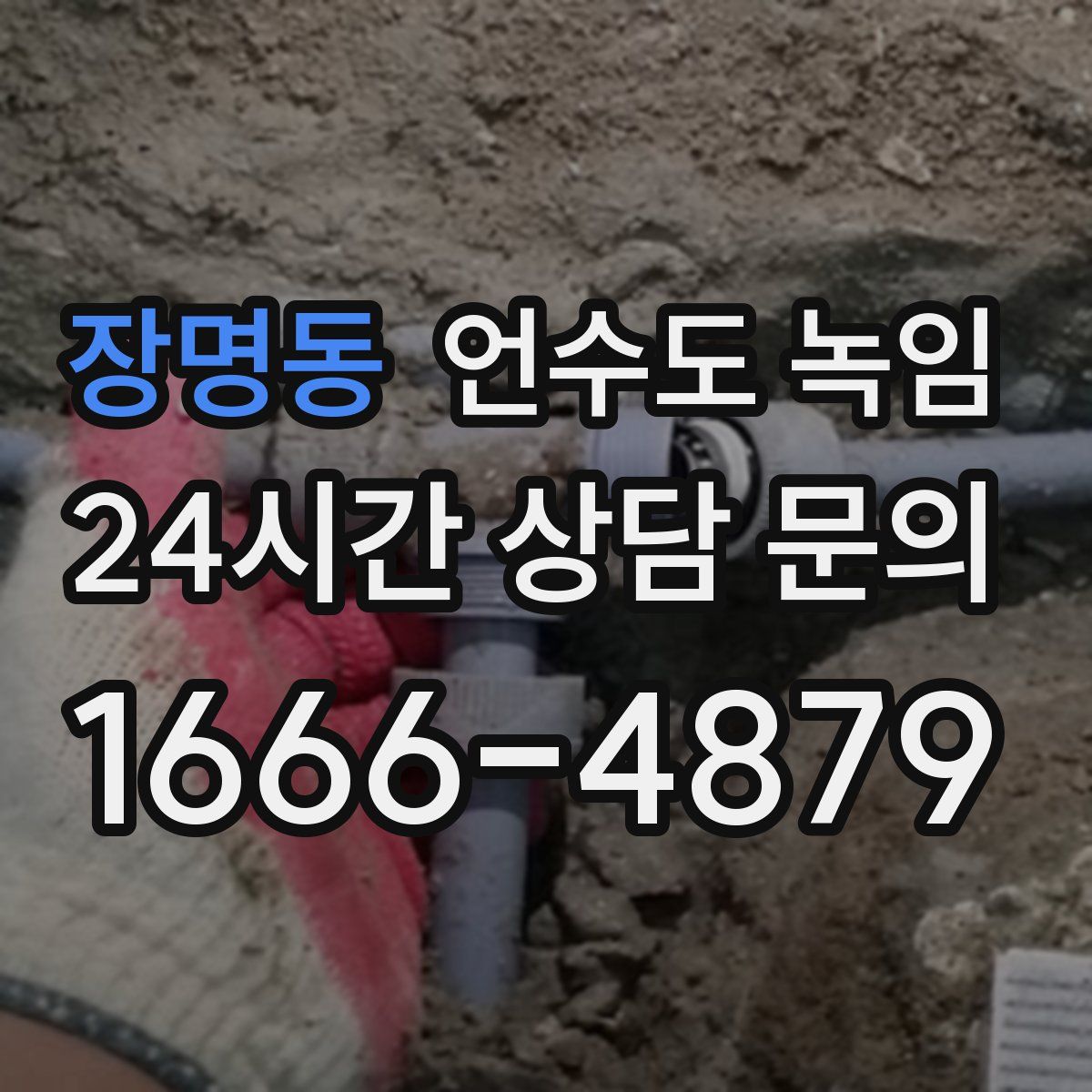 장명동 언수도 녹임