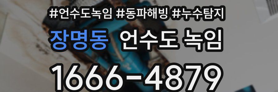 장명동 언수도 녹임