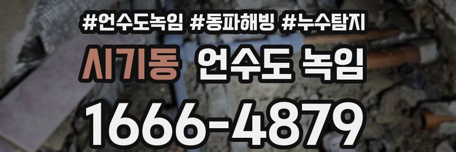 시기동 언수도 녹임