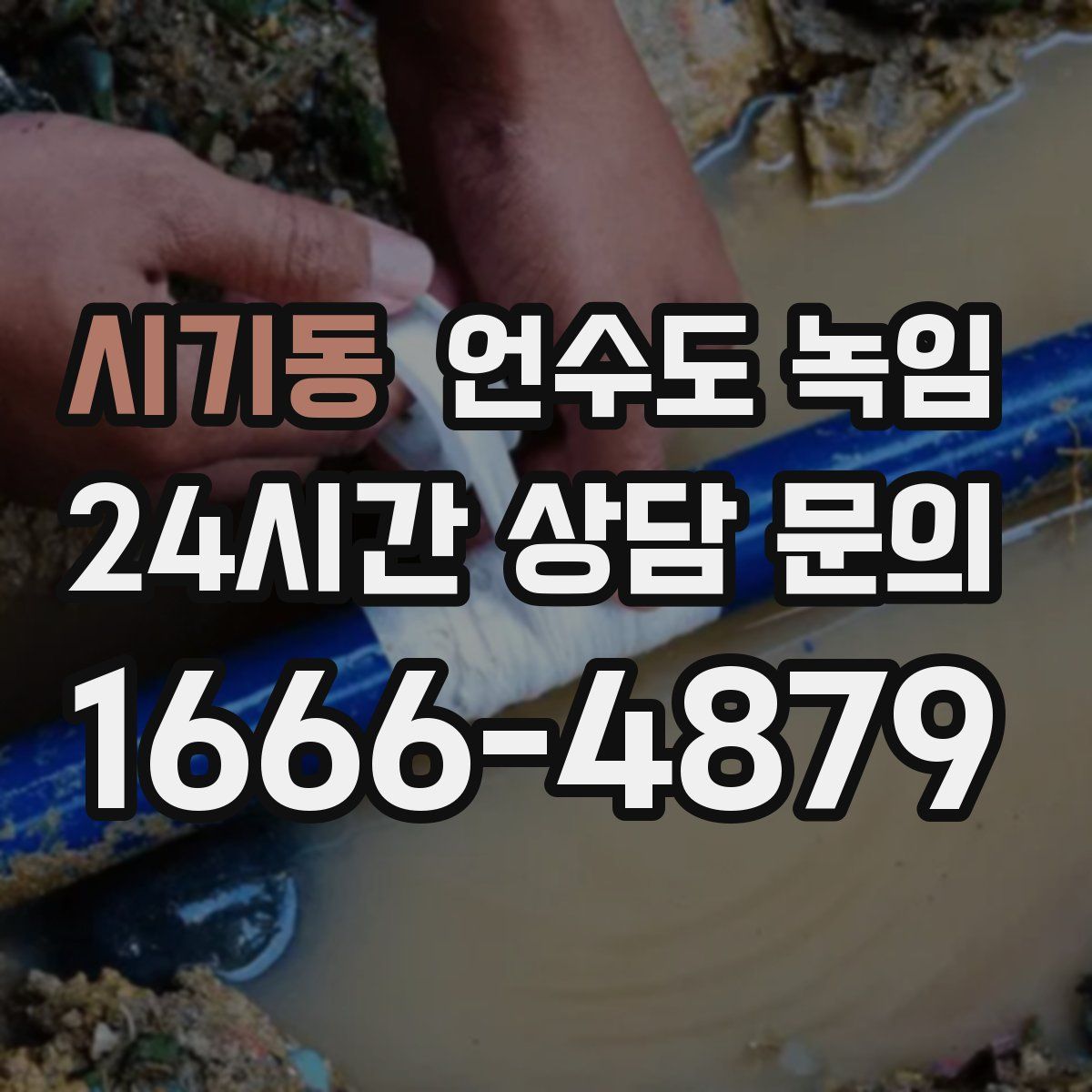 시기동 언수도 녹임