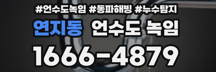 연지동 언수도 녹임