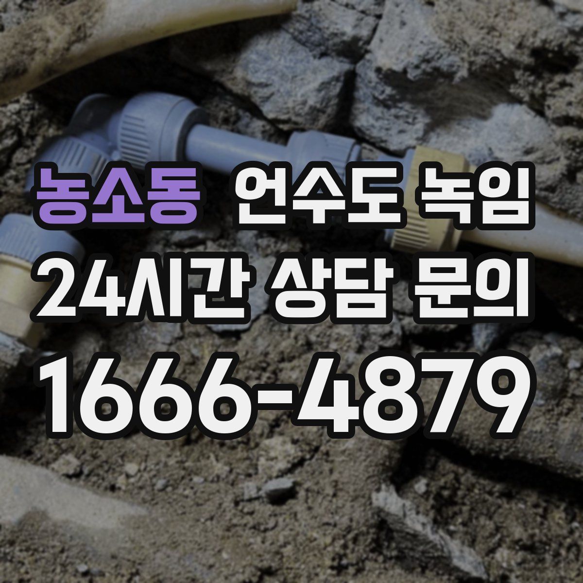 농소동 언수도 녹임