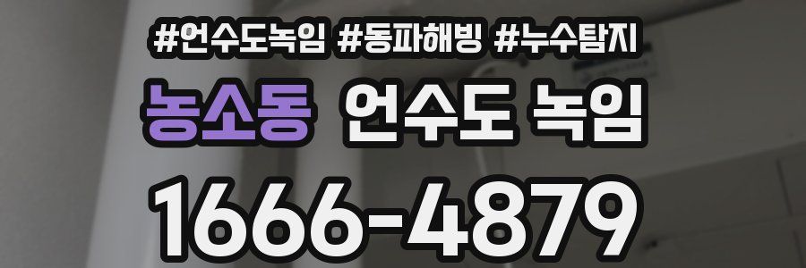 농소동 언수도 녹임