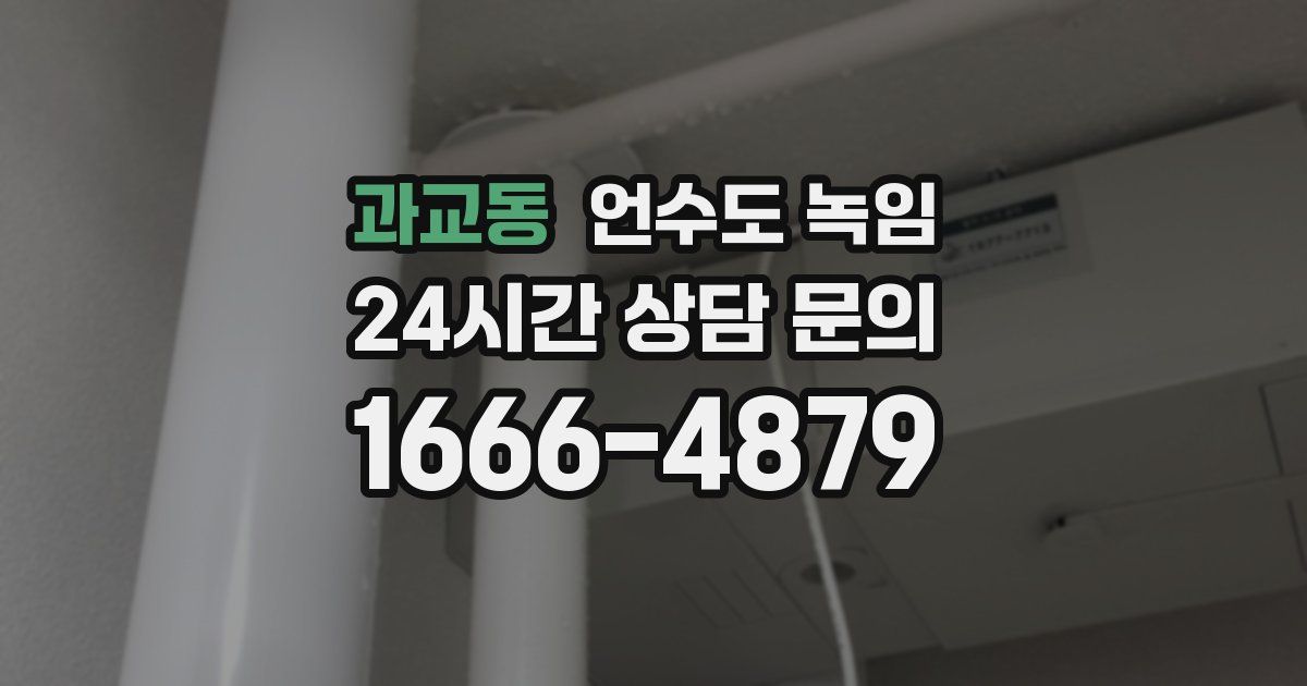 과교동 언수도 녹임