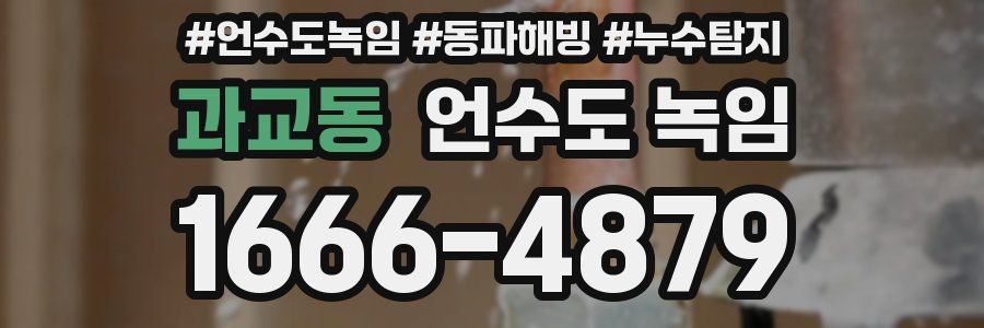 과교동 언수도 녹임