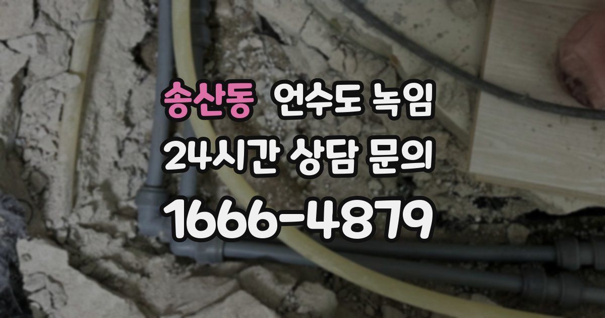 송산동 언수도 녹임