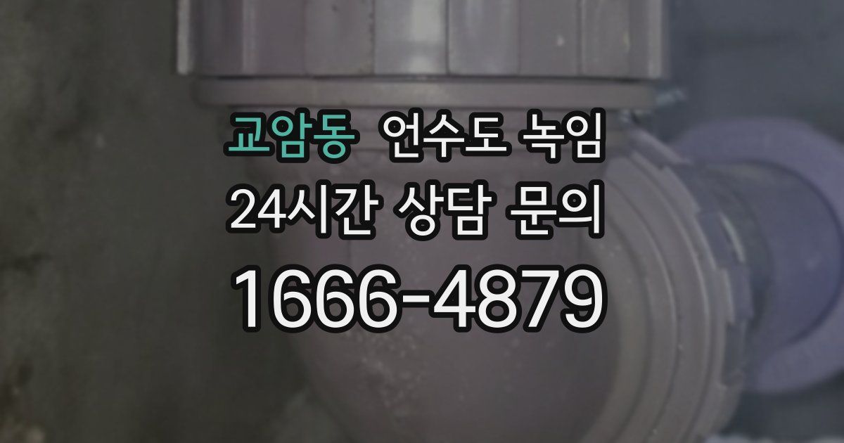 교암동 언수도 녹임