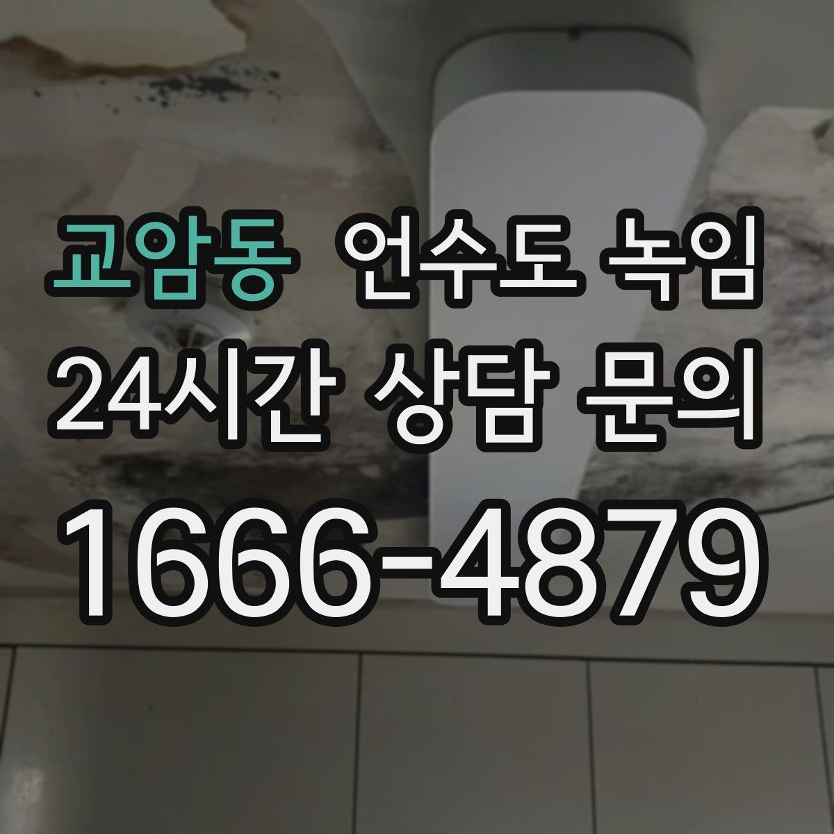 교암동 언수도 녹임