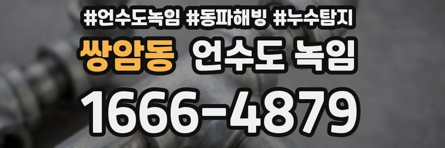 쌍암동 언수도 녹임