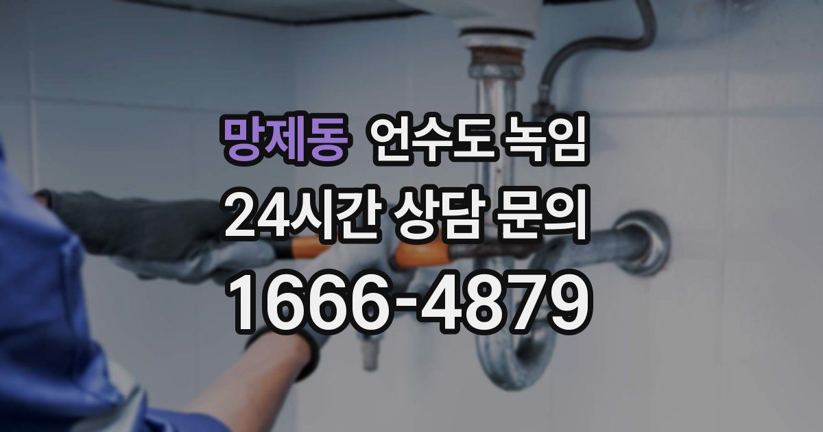 망제동 언수도 녹임