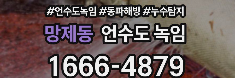 망제동 언수도 녹임