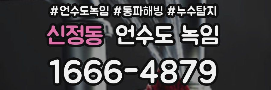 신정동 언수도 녹임