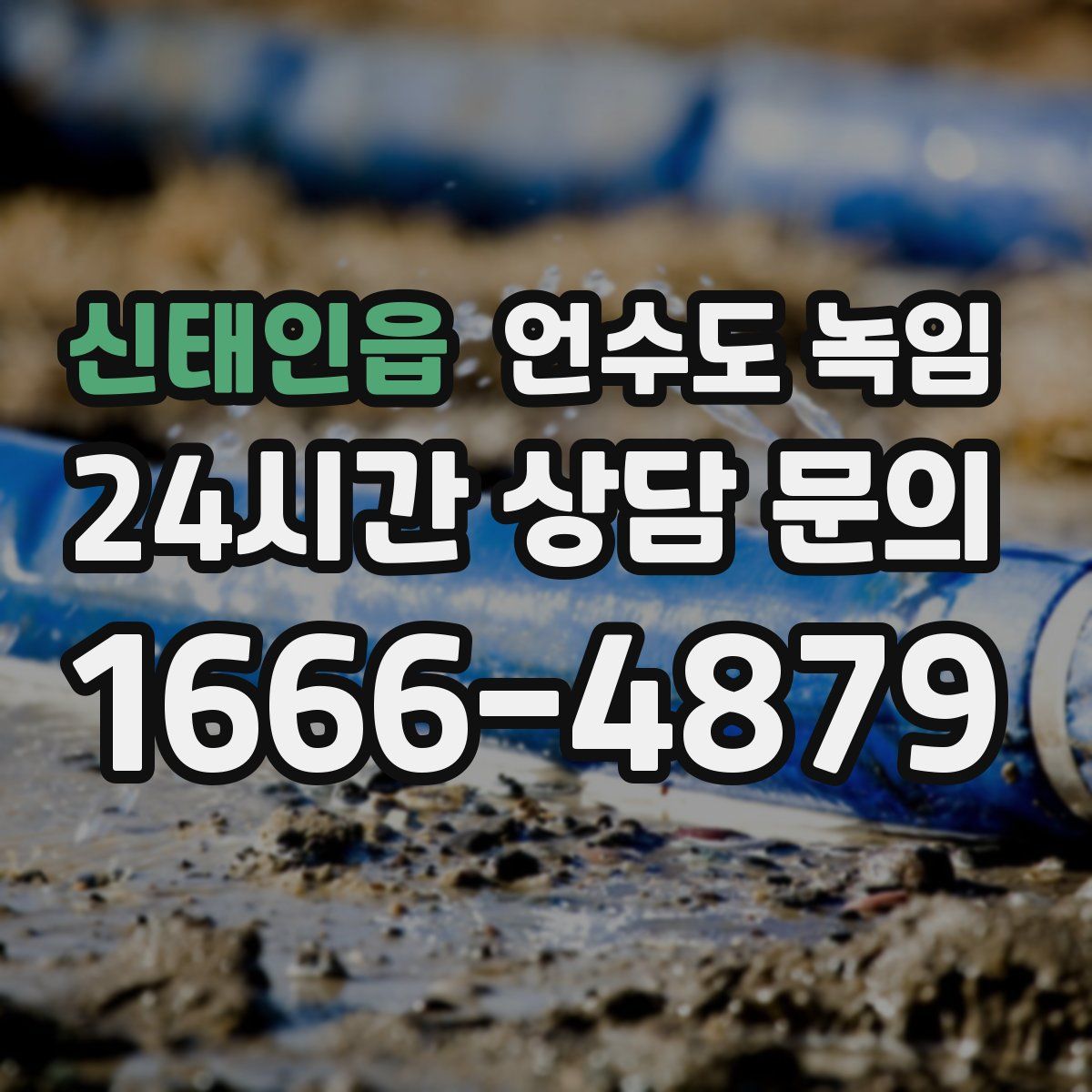 신태인읍 언수도 녹임