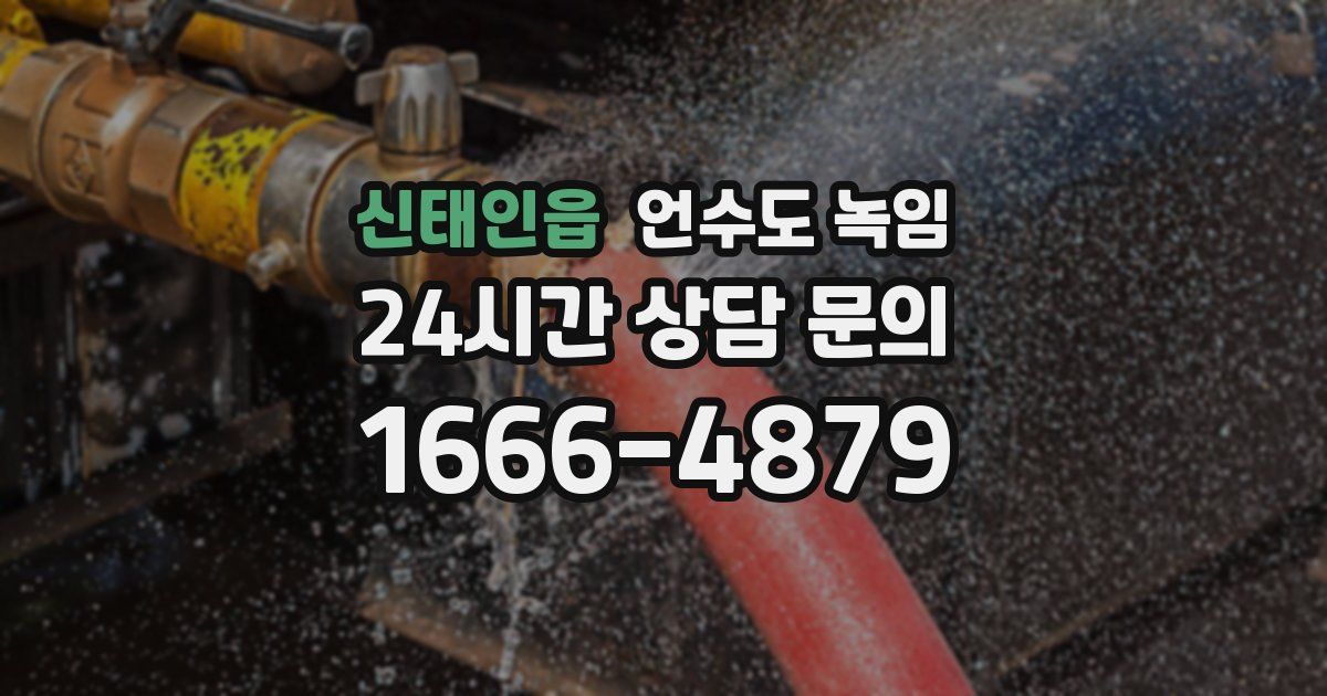 신태인읍 언수도 녹임