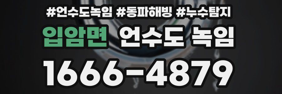 입암면 언수도 녹임