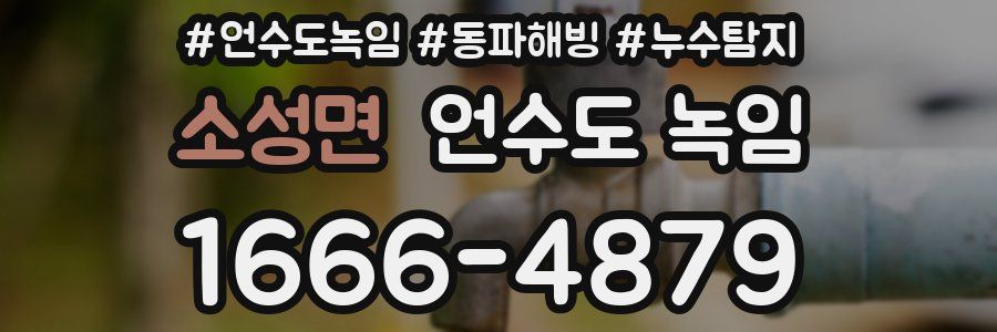 소성면 언수도 녹임