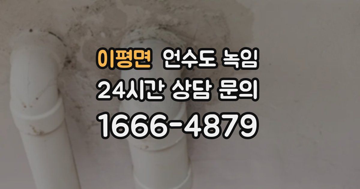 이평면 언수도 녹임