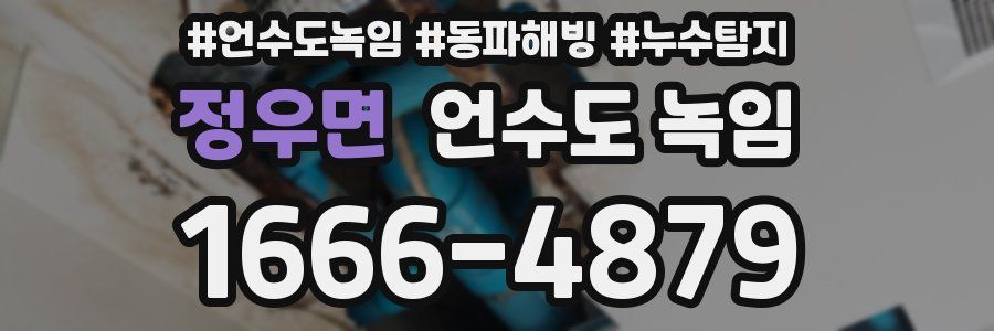 정우면 언수도 녹임