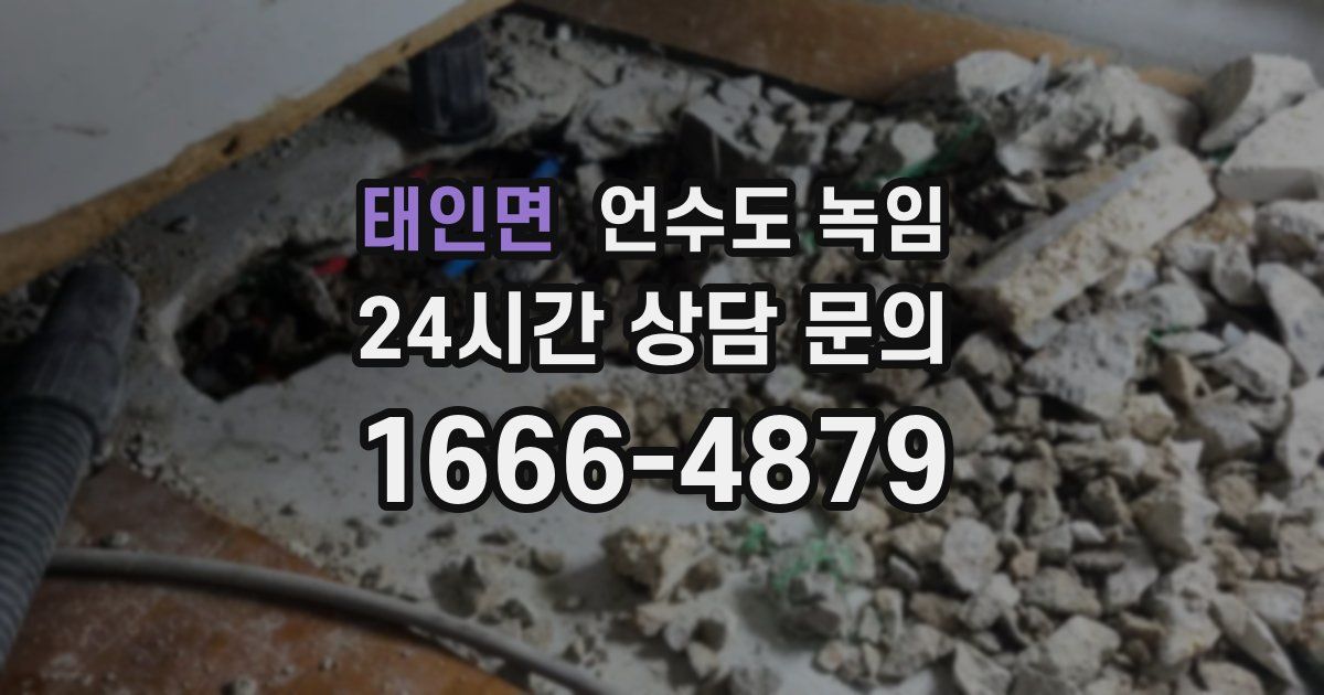 태인면 언수도 녹임