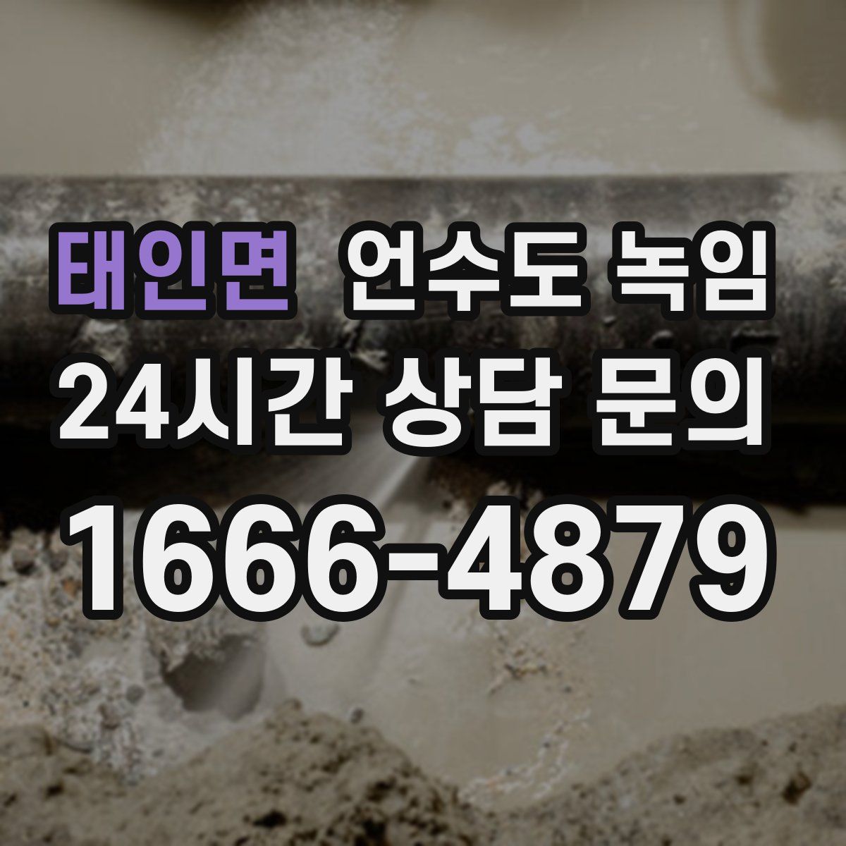 태인면 언수도 녹임