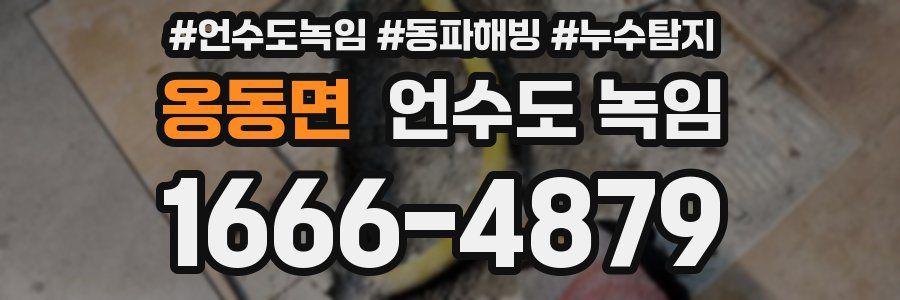 옹동면 언수도 녹임