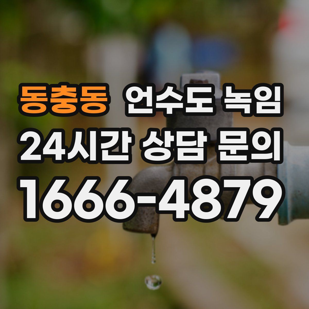 동충동 언수도 녹임