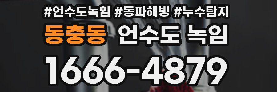 동충동 언수도 녹임