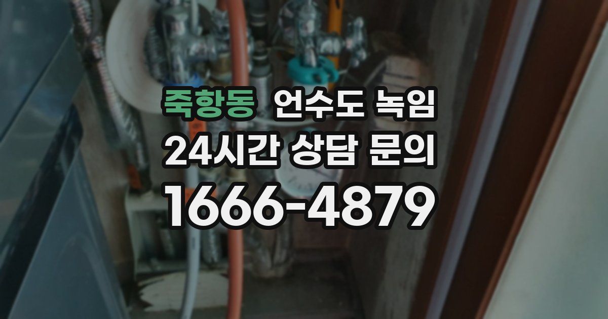 죽항동 언수도 녹임