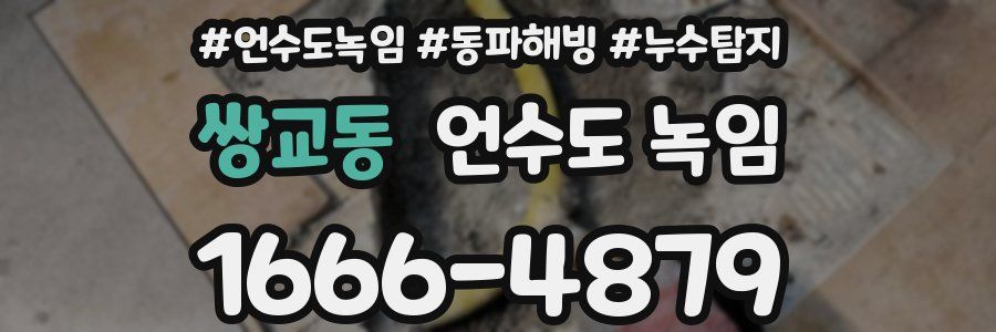 쌍교동 언수도 녹임