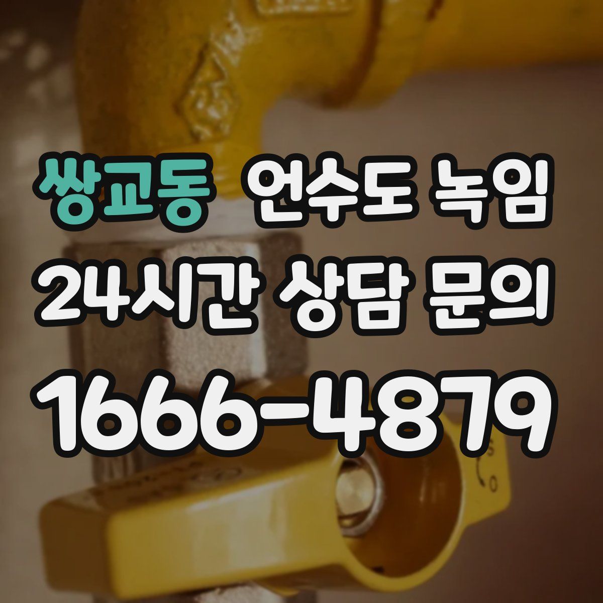 쌍교동 언수도 녹임