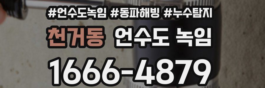 천거동 언수도 녹임