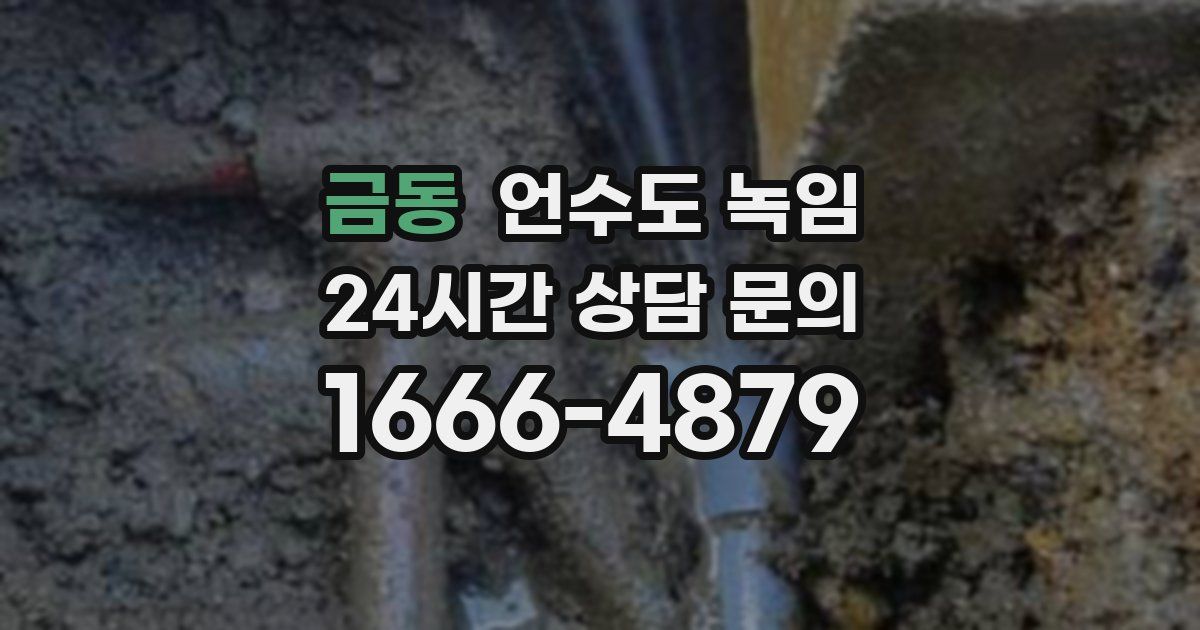 금동 언수도 녹임