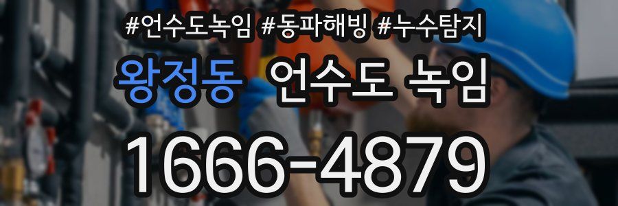 왕정동 언수도 녹임