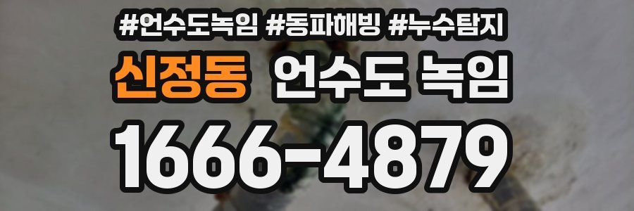 신정동 언수도 녹임