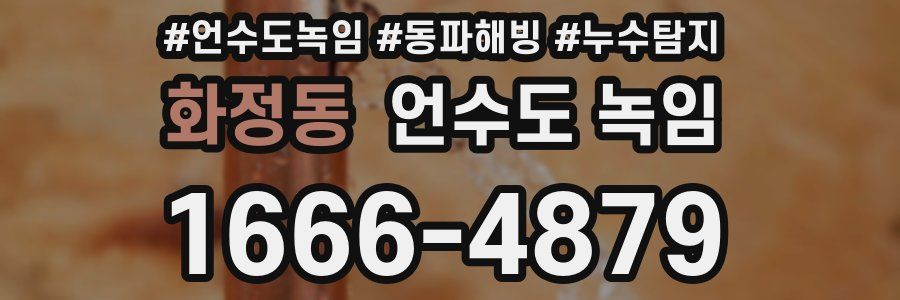 화정동 언수도 녹임