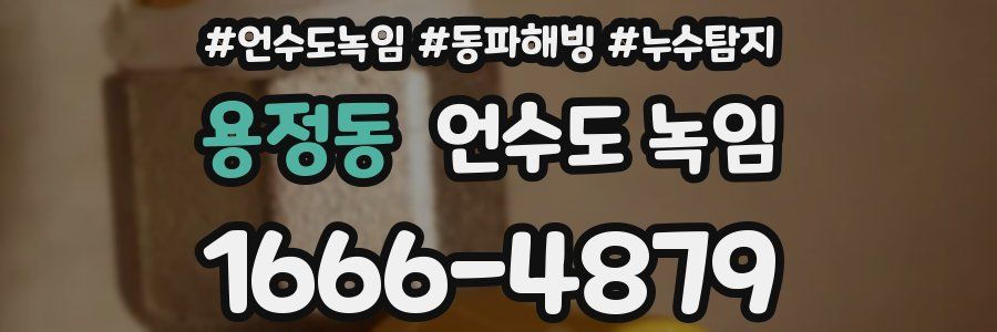 용정동 언수도 녹임