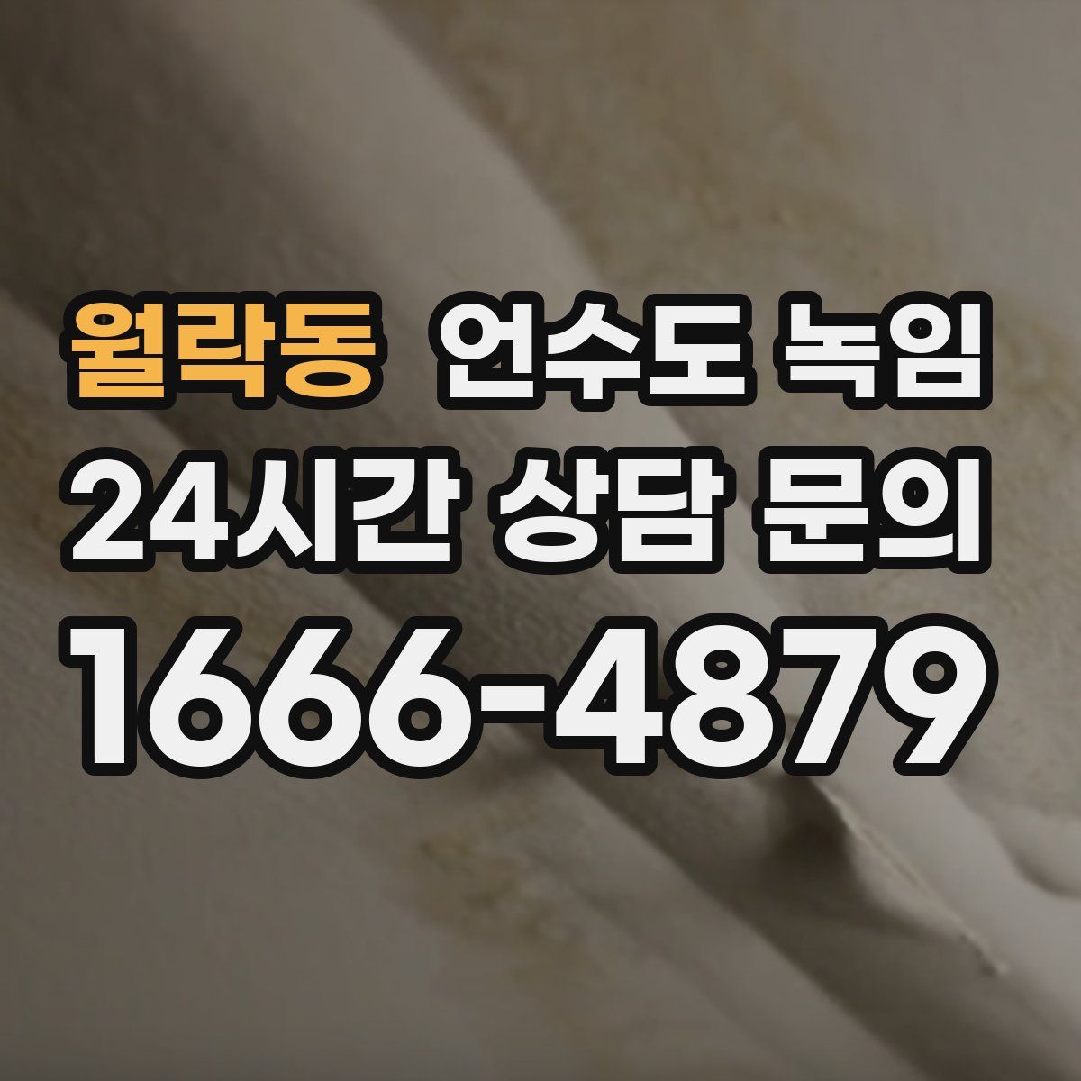 월락동 언수도 녹임