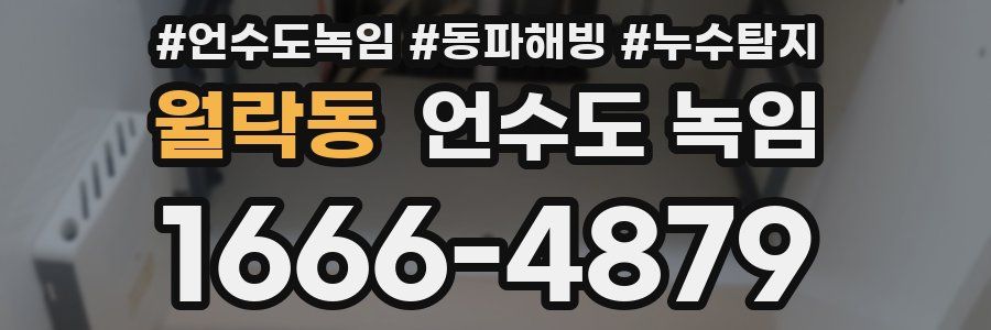 월락동 언수도 녹임