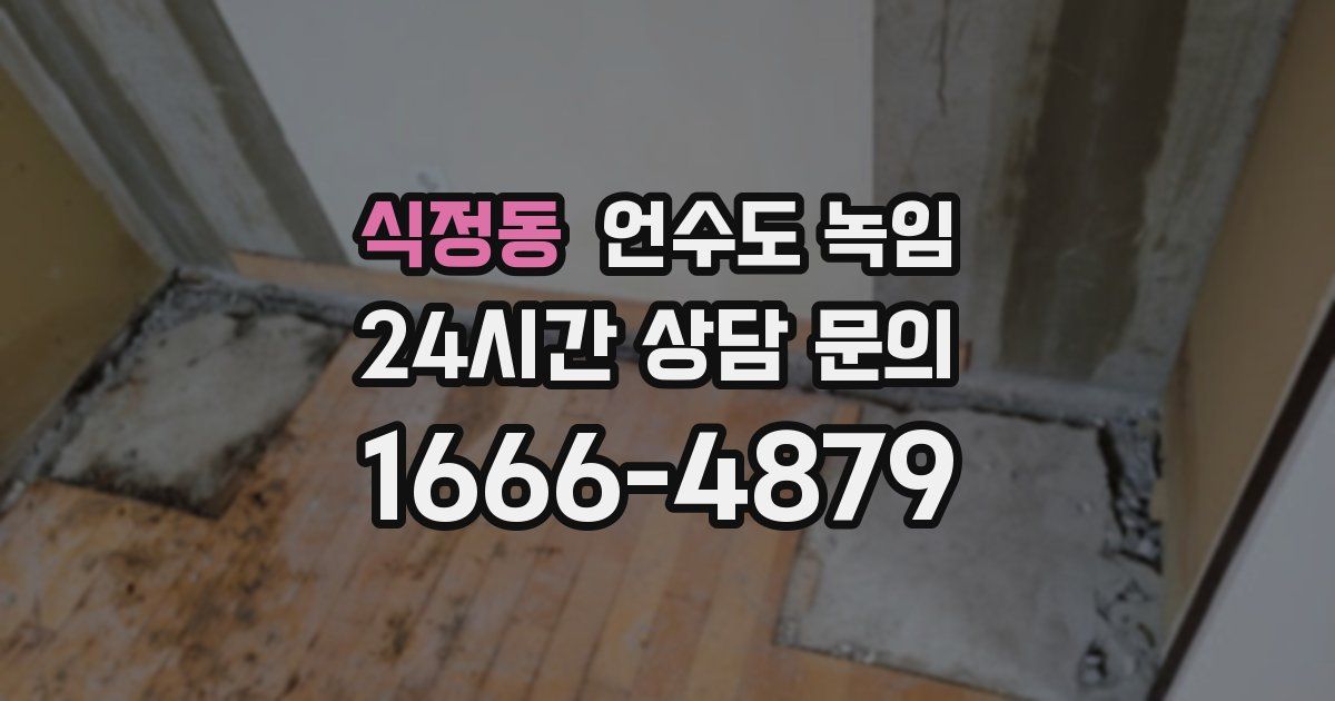 식정동 언수도 녹임