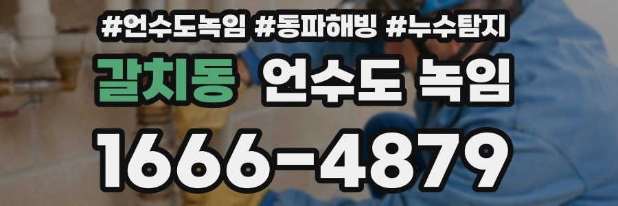 갈치동 언수도 녹임