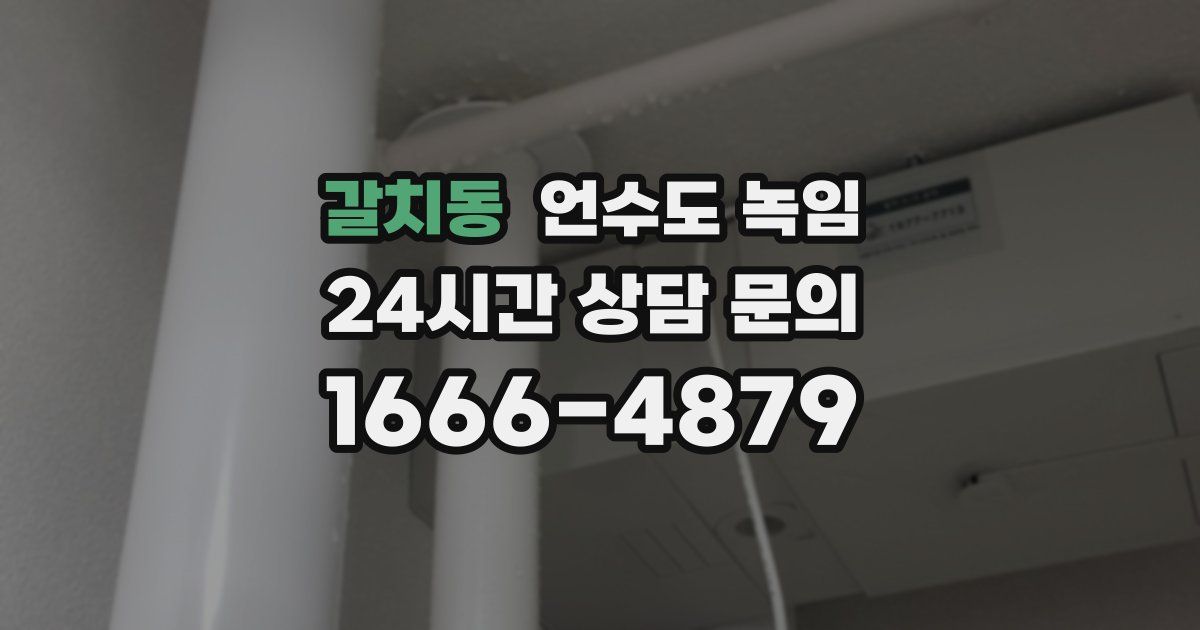 갈치동 언수도 녹임