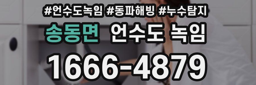 송동면 언수도 녹임