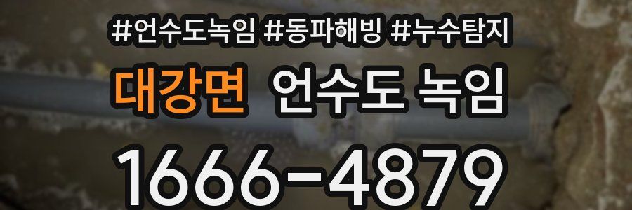 대강면 언수도 녹임