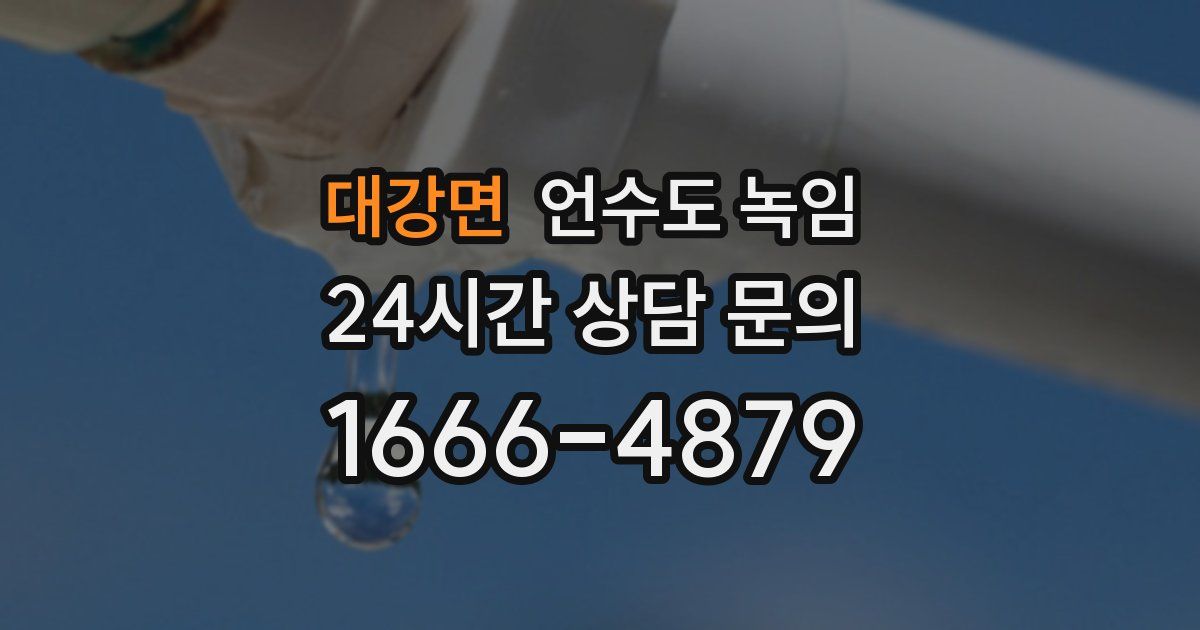 대강면 언수도 녹임
