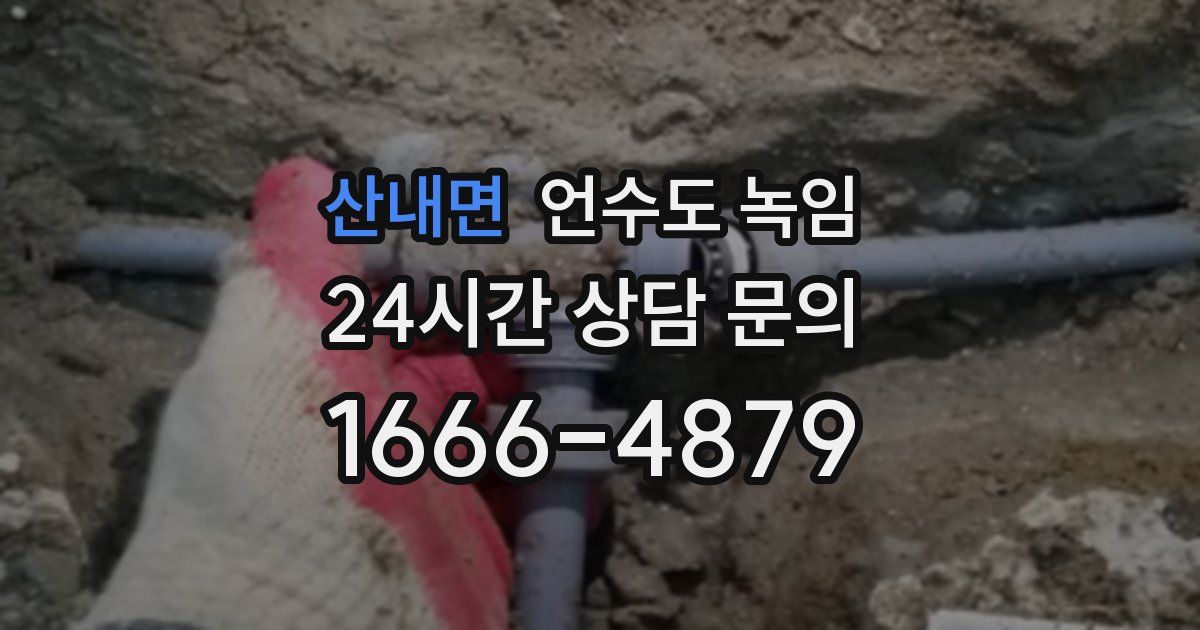 산내면 언수도 녹임
