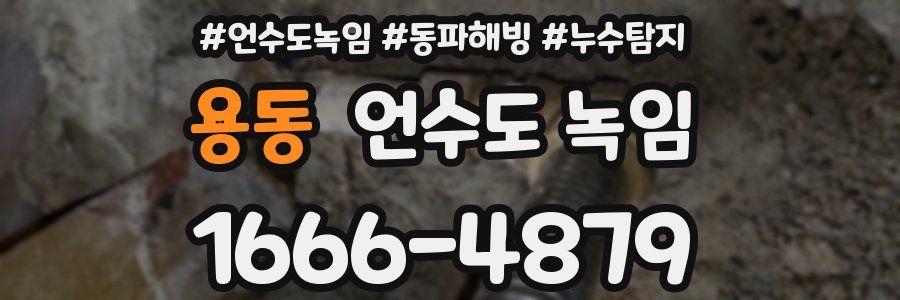 용동 언수도 녹임